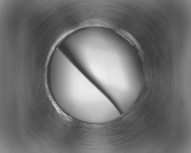 X0000080721144200701021047