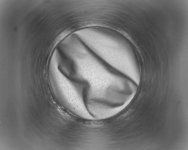 X0000080721145200701021047