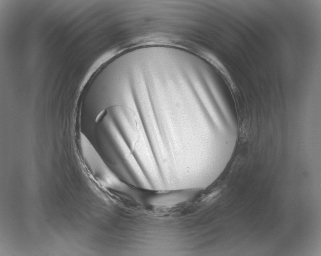 X0000080721146200701021047