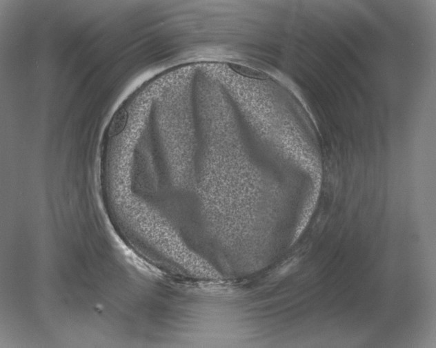 X0000080721147200701021047