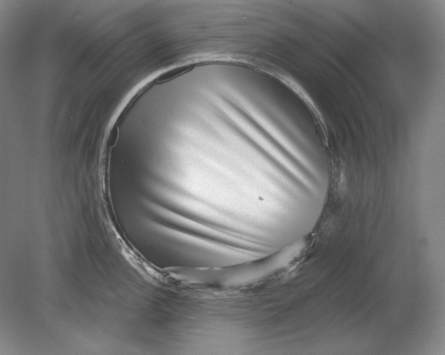 X0000080721148200701021047