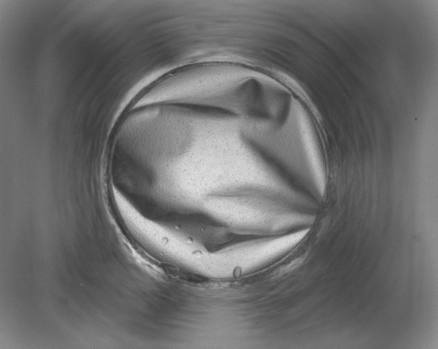 X0000080721149200701021047