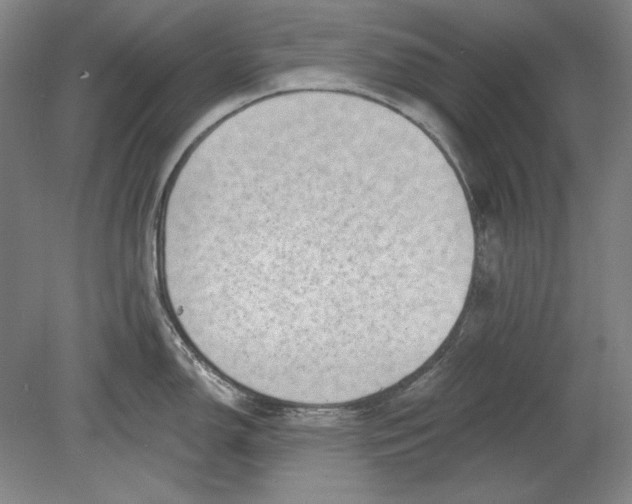 X0000080721150200701021047