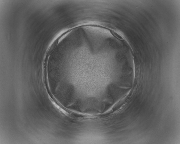 X0000080721151200701021048