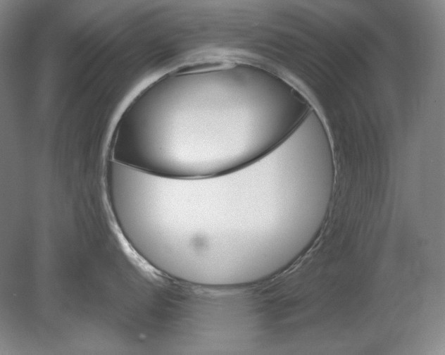 X0000080721152200701021048