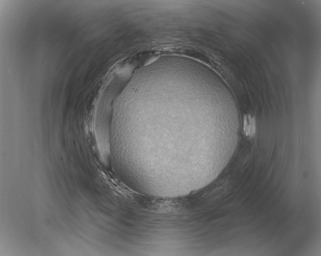 X0000080721155200701021047