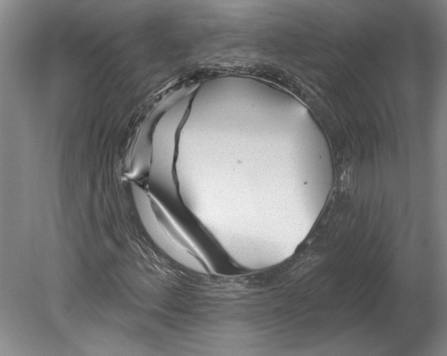 X0000080721156200701021047