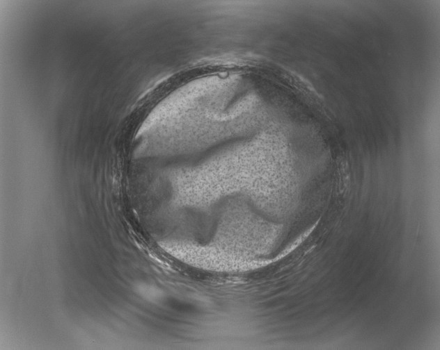 X0000080721158200701021047