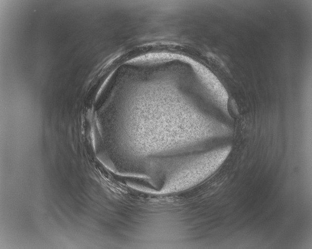 X0000080721159200701021047