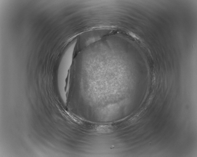 X0000080721161200701021047