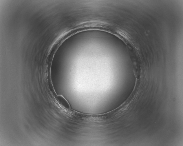 X0000080721164200701021047