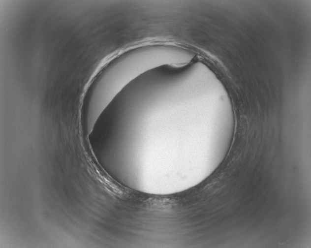 X0000080721168200701021046