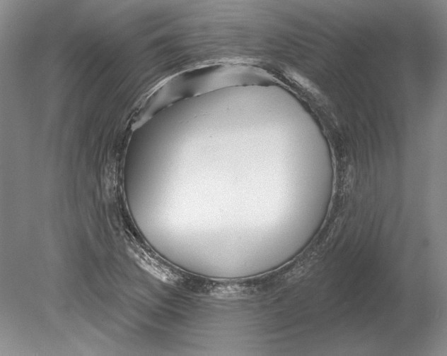 X0000080721169200701021046