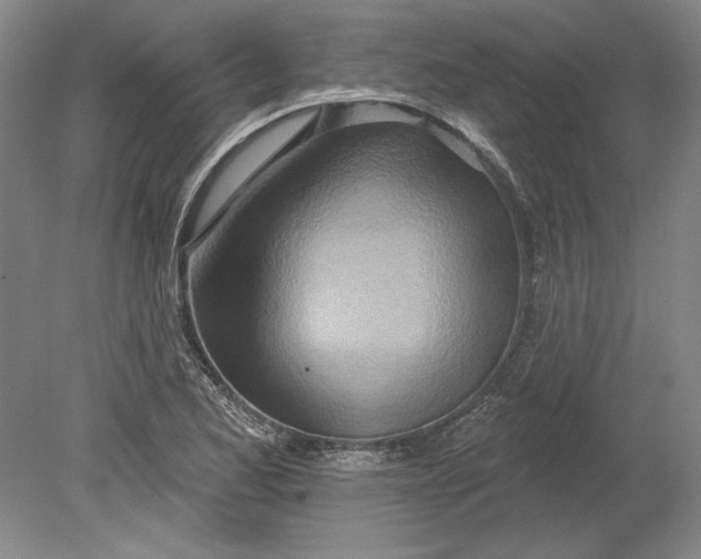 X0000080721173200701021046