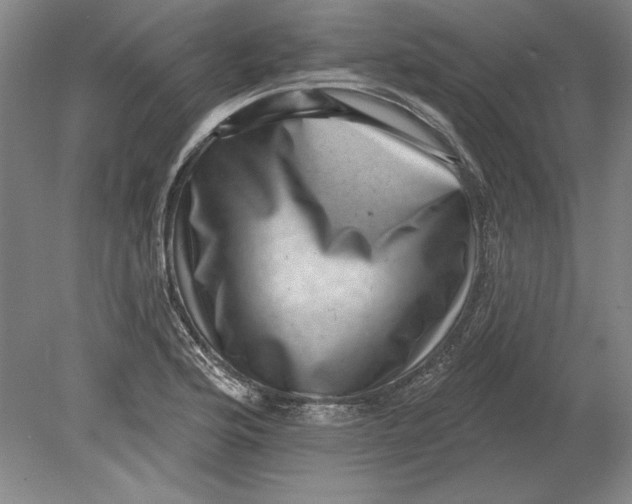 X0000080721176200701021046