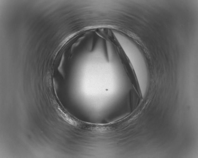 X0000080721177200701021046