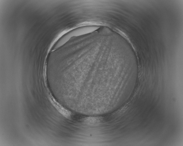 X0000080721179200701021046