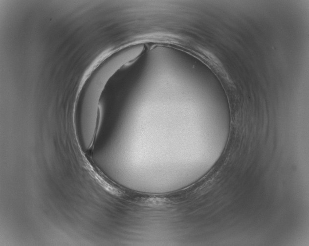 X0000080721180200701021046