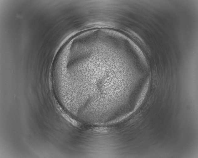 X0000080721182200701021046