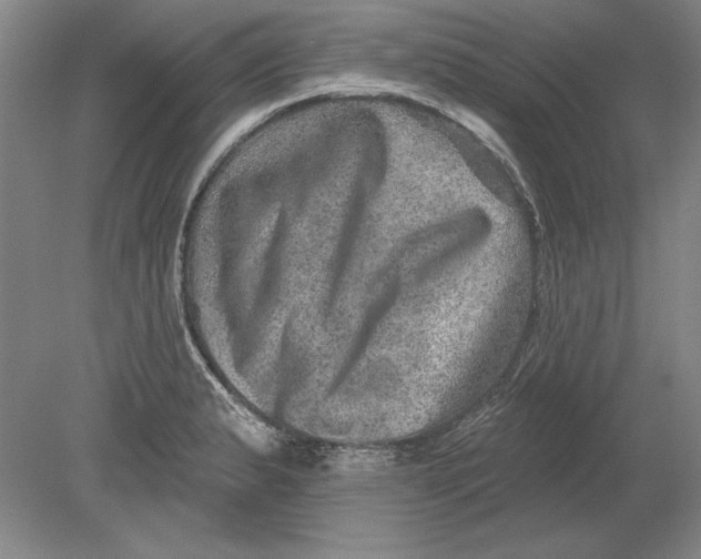 X0000080721183200701021046