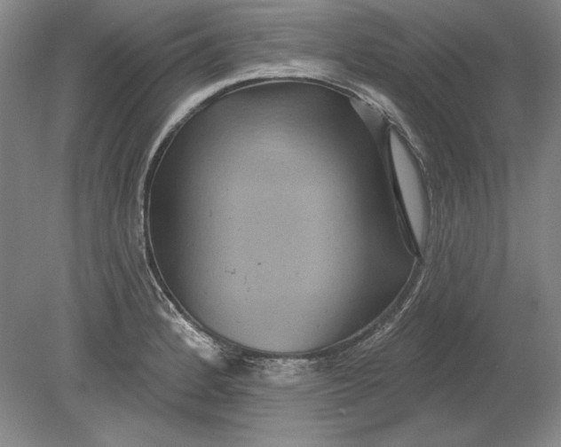 X0000080721184200701021046