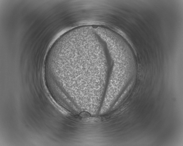 X0000080721187200701021046