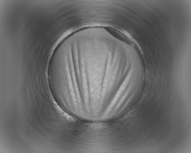 X0000080721189200701021046