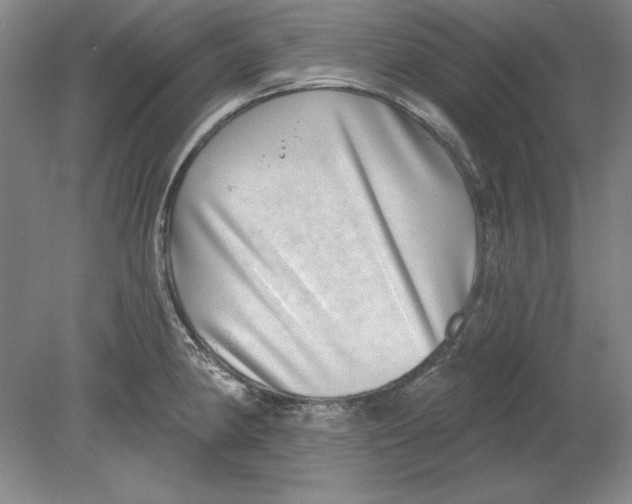 X0000080721190200701021046