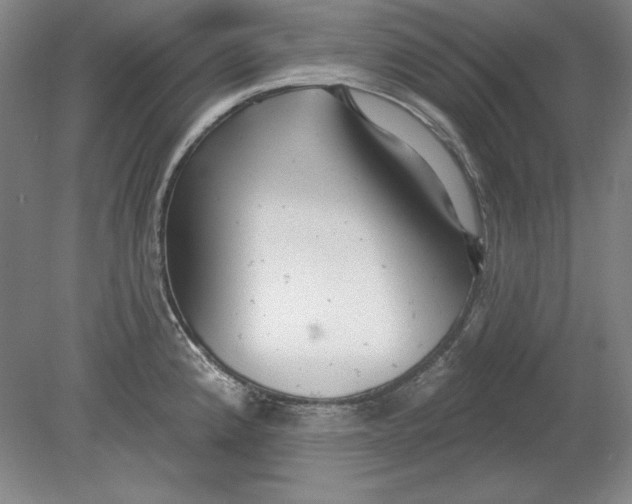 X0000080721192200701021046