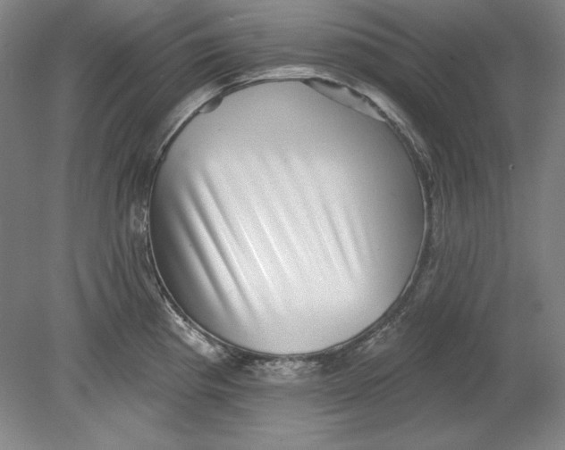 X0000080721193200701021046