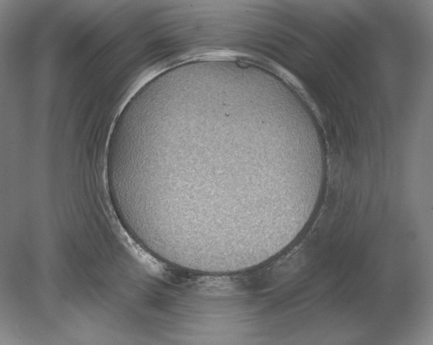 X0000080721194200701021046