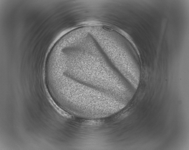 X0000080721195200701021046