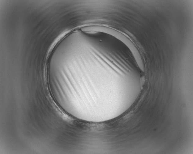 X0000080721196200701021046