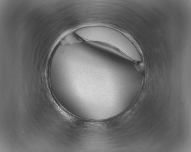 X0000080721197200701021046