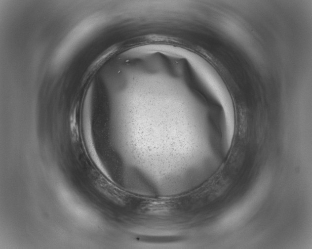 X0000080721198200701021046