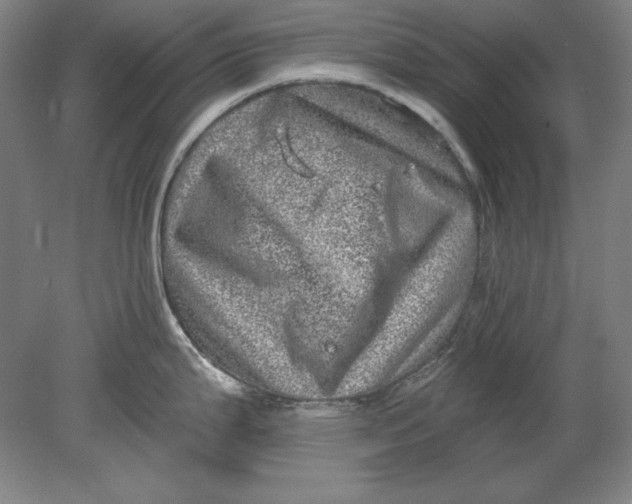 X0000080721199200701021046