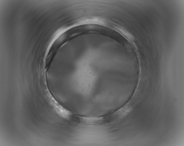 X0000080721200200701021046