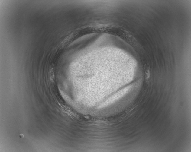 X0000080721204200701021045