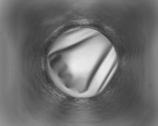 X0000080721205200701021045