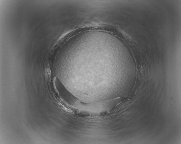 X0000080721206200701021045