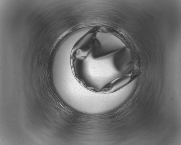 X0000080721210200701021045