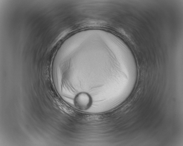 X0000080721211200701021045