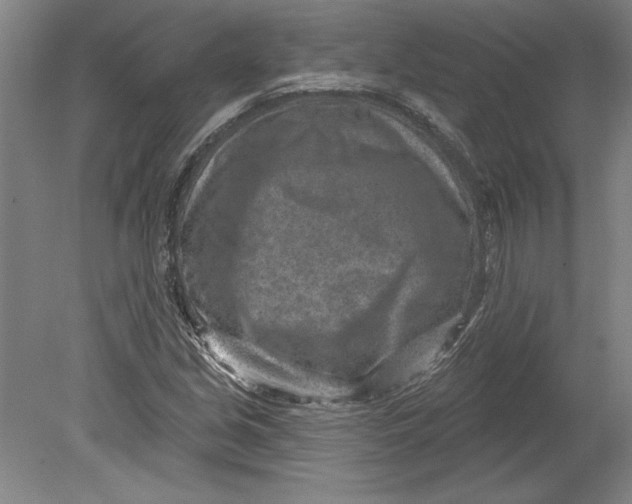 X0000080721213200701021045