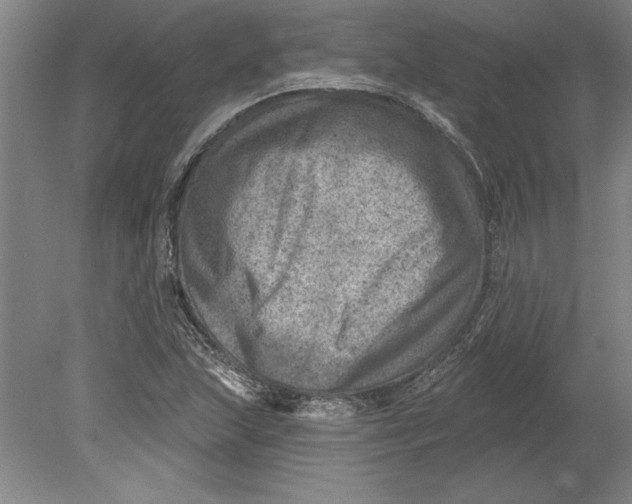 X0000080721215200701021045