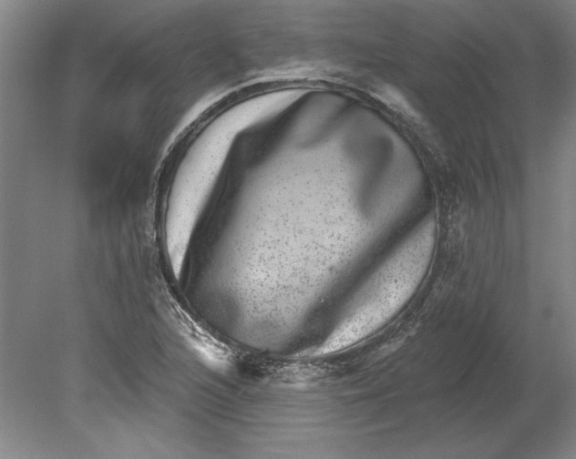 X0000080721216200701021045