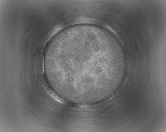 X0000080721219200701021045