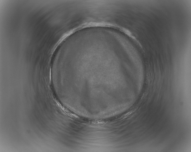 X0000080721221200701021045