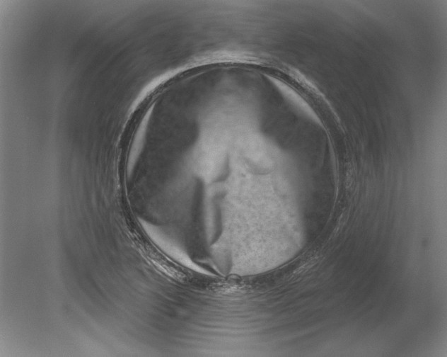 X0000080721222200701021045