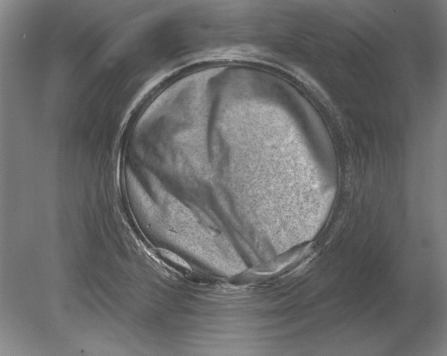 X0000080721224200701021046