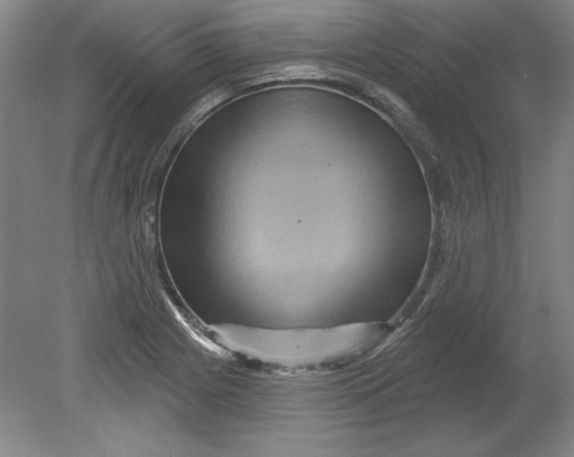 X0000080721225200701021046